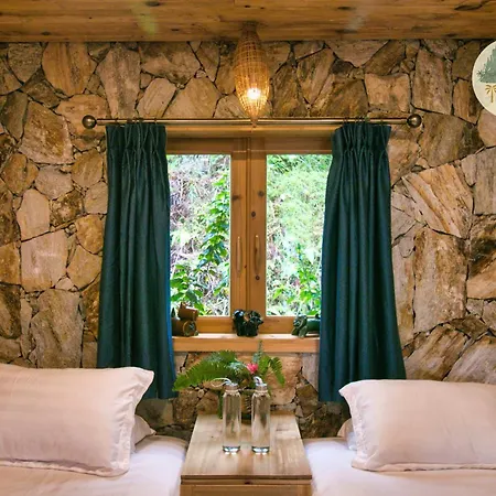 Tvpalm Ecolodge Ha Giang Exterior photo