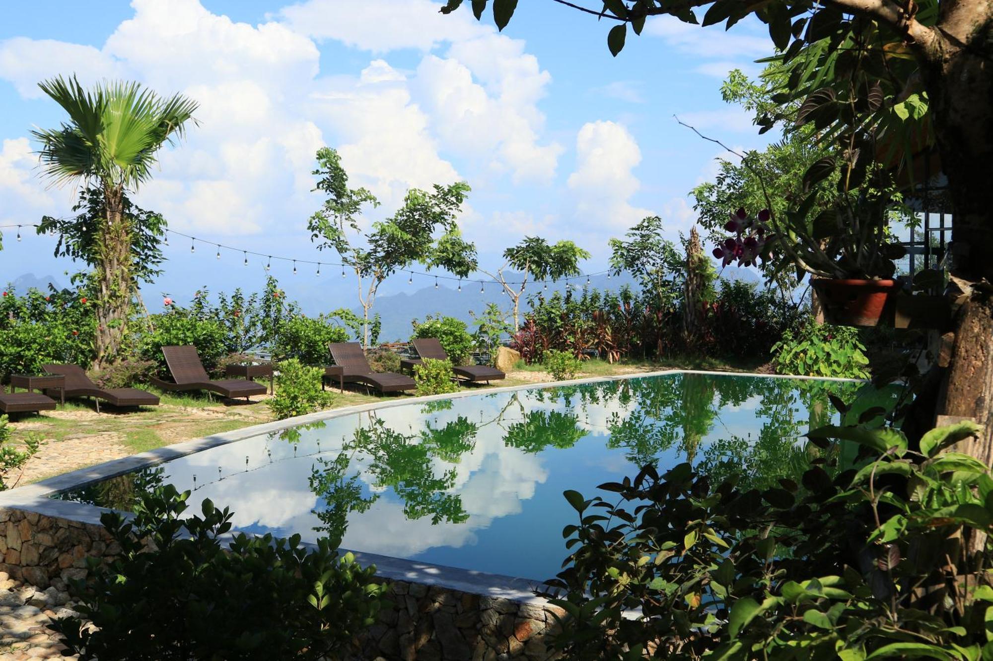 Tvpalm Ha Giang